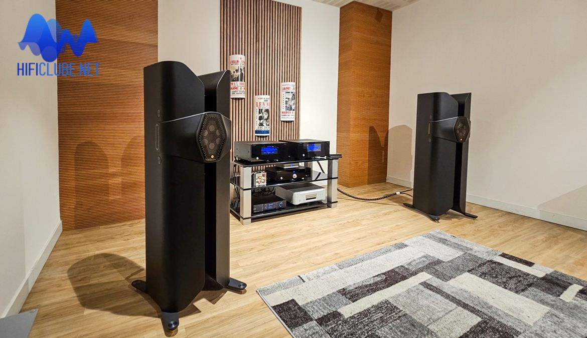 Delaudio_Monitor Audio Hyphn_sideways.jpg