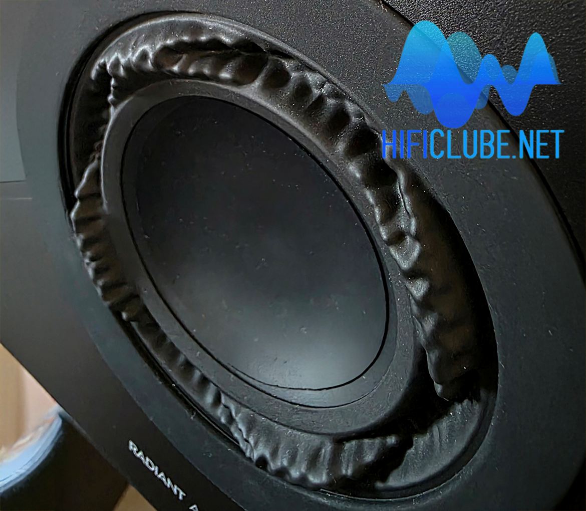 The Ushindi woofer rubber suspension surround is irregular for acoustic reasons, not because it's damaged.