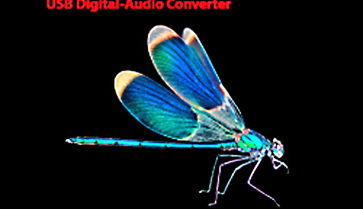 Dragongly: o voo da libelinha digital