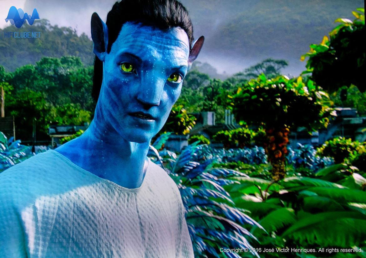 Foto de uma cena de Avatar obtida directamente do ecrã