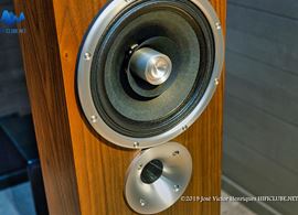 Ajasom-Zu Audio - Druid MkV - drivers.jpg