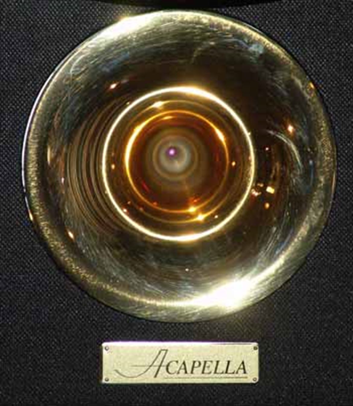 CES06_AcapellaPlasma.jpg