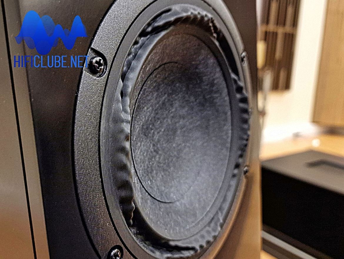 The Purifi 165mm driver substituting for the Scanspeak mid-woofer has a distinctive 'crumpled' rubber-surround geometry.