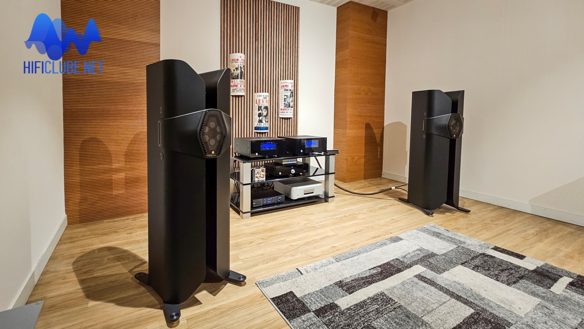 Delaudio_Monitor Audio Hyphn_sideways.jpg