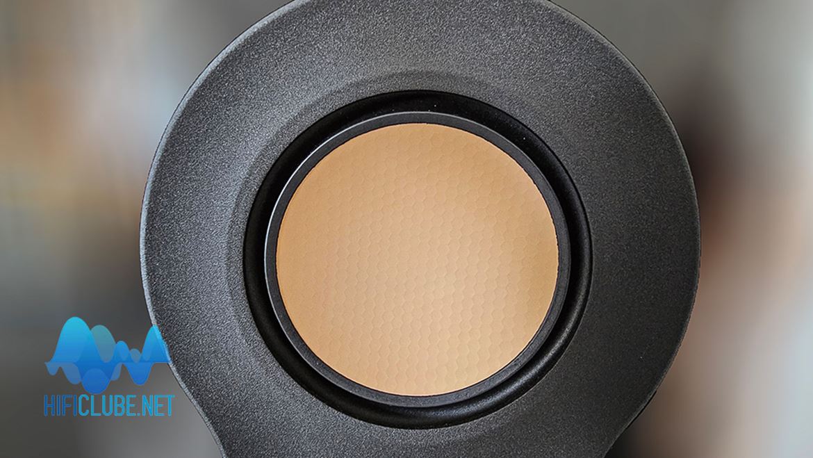 RDT III mid-bass driver, with hexagonal surface pattern.