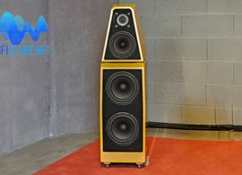WA WATT Puppy 24 -solo upright copy.jpg