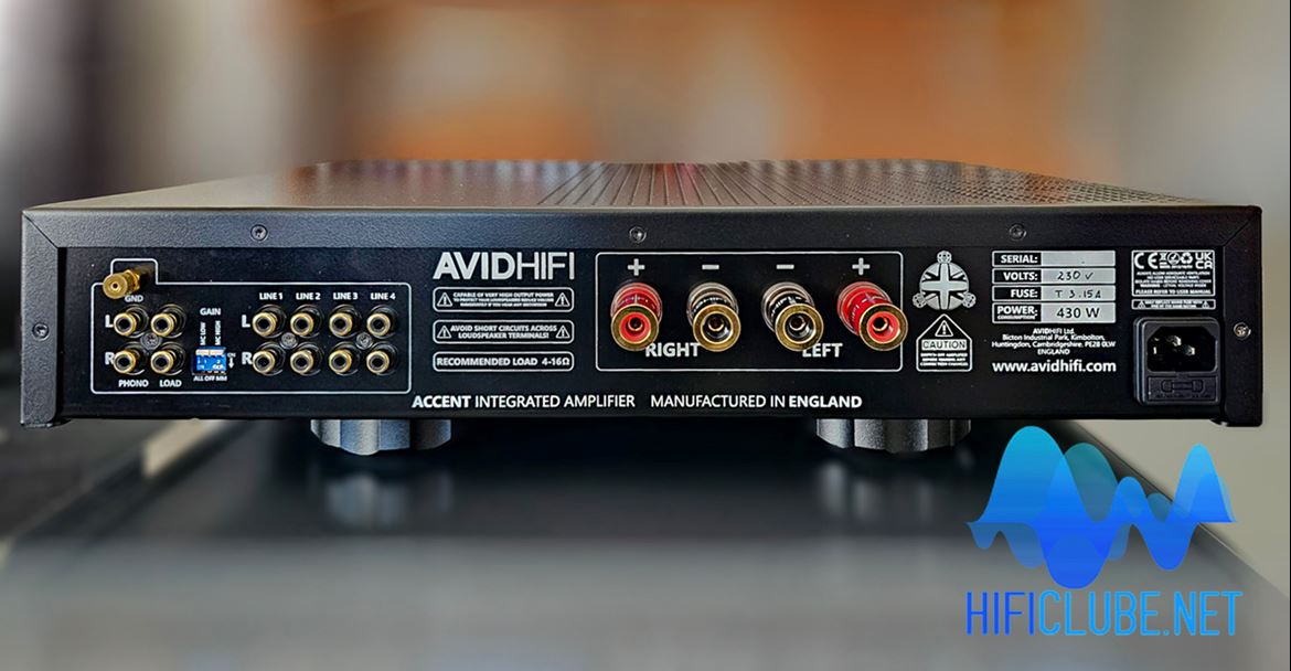 AVIC ACCENT back panel : only analogue connections available.