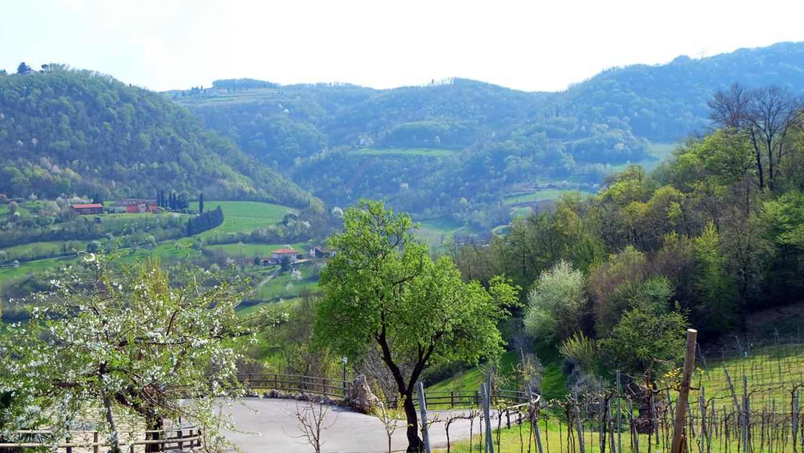 Paisagem campestre nos arredores de Vicenza