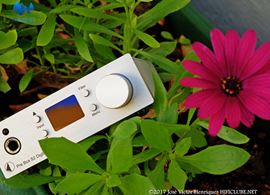 ProJect S2- flower pot square.jpg