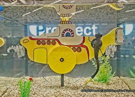 DSCF0347.jpg